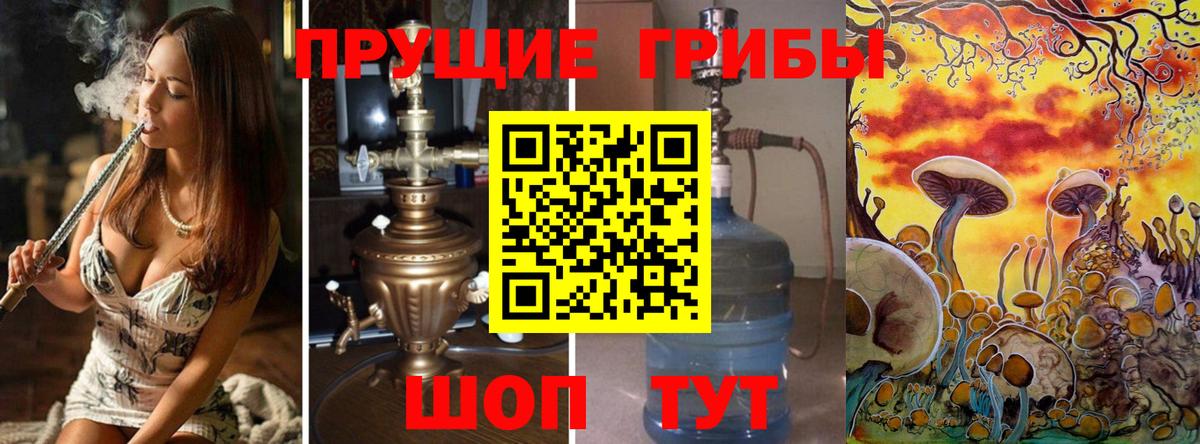 Югорск  Псилоцибиновые грибы прущие грибы  Вход с VPN 